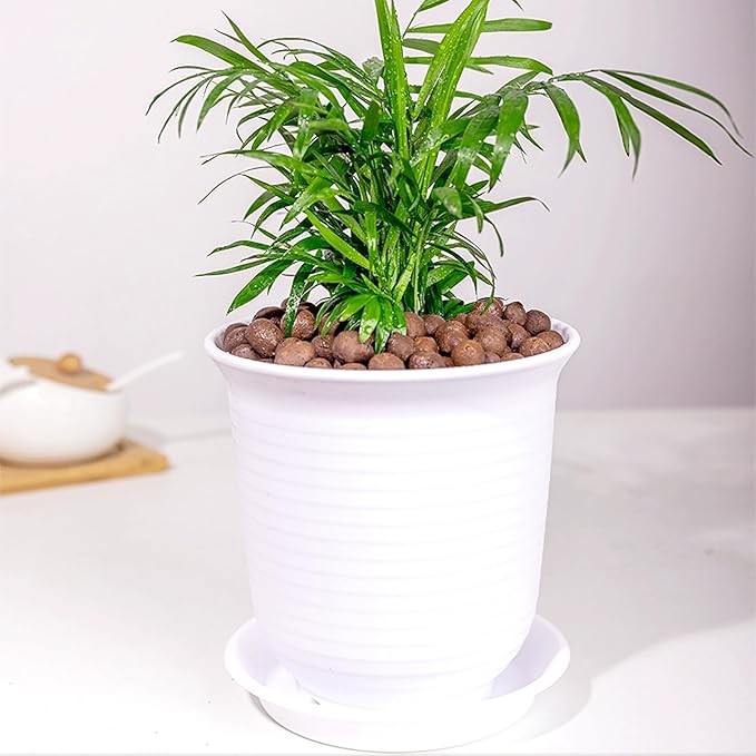 2 lbs Clay Pebbles for Plants, 8-12 mm Leca Clay Balls for Indoor Plants, Orchid Potting Mixes, Hydroponic Growing, Aquaponics, Potted Top Dressing and Drainage