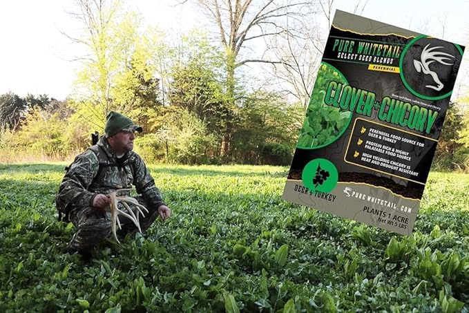 Clover/Chicory | Select Seed Blends | All Season Whitetail Deer & Turkey Perennial Food Plot Seed | Drought Resistant | Easiest Turkey & Deer Feeders | Plants 1 Acre | 5 lb Bag