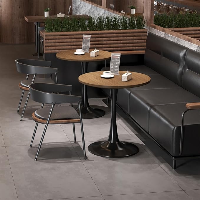 24 inch Small Tulip Table for 2 Person, Walnut Round Dining Table for Kitchen, Leisure Wood Mid Century Modern Table with Metal Pedestal Base for Cafe, Living Room, Bar, Circle Bistro Tables