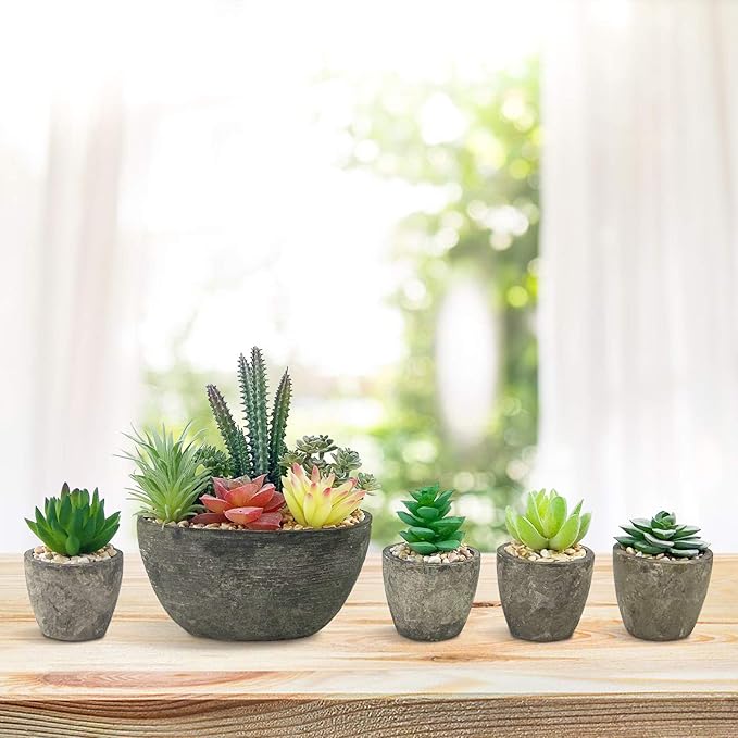 Succulents Plants Artificial Set of 5, Realistic Fake Succulents with Cement Like Pots for Home Office Decoration.
