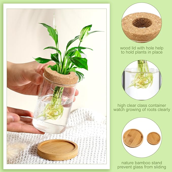 Layhit 4 Pcs Plants Propagation Stations vases Glass Planters with Wooden Lid and Bamboo Stand for Hydroponic Plants Gardening Gifts for Women Mom Home Office Tabletop Decoration(Classic Style)