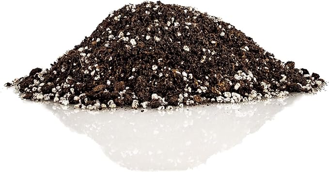 Premium Apricot Potting Soil Mix - Ideal Nutrient Blend for Growing Robust, Flavorful, and Bountiful Apricots - 1 Quart