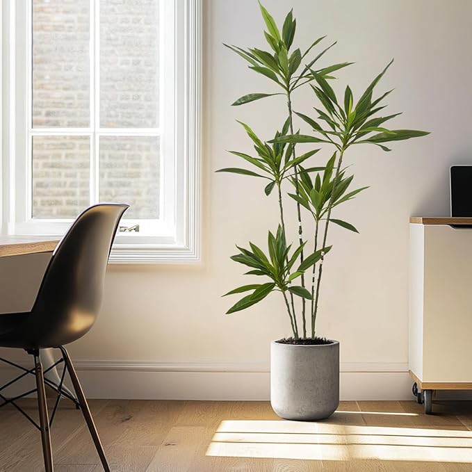 Artificial Cordyline Plant, 6 Ft Tall Green Leaves, 5 Stems with Pot, Indoor Decorative Tree(Green)