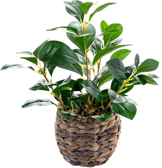 Artificial Vibrant Plants 14.2 inches Tall Fake Outdoor Greenery Plants with Ficus Leaves in Brown Rattan Planter for Indoor Home Office Garden Modern Decoration Ideal Housewarming Gift
