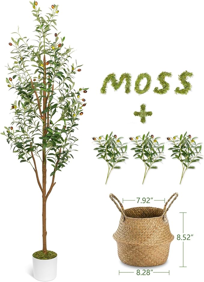 6FT Artificial Olive Tree - Indoor Tall Faux Olive Trees with Seagrass Basket&3PCS 18Inch Olive Branches, Large Fake Olive Silk Tree Realistic Olive Plants for Home Decor Office Living