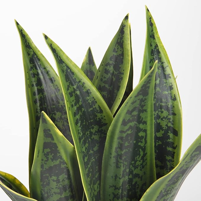 Briful Fake Snake Plant 16" Faux Potted Plant Artificial Snake Plant with White Ceramic Pot Sansevieria Plant Perfect for House Modern Living Room Office Housewarming Gift Indoor Decor