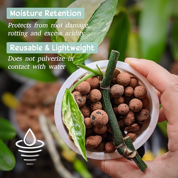 Legigo 6 LB Organic Leca Clay Pebbles for Plants, 4mm-16mm 100% Natural Leca Balls for Indoor Plants, Hydroton Clay Pebbles for Plants Hydroponic Aquaponics Growing Orchid Drainage Terrarium