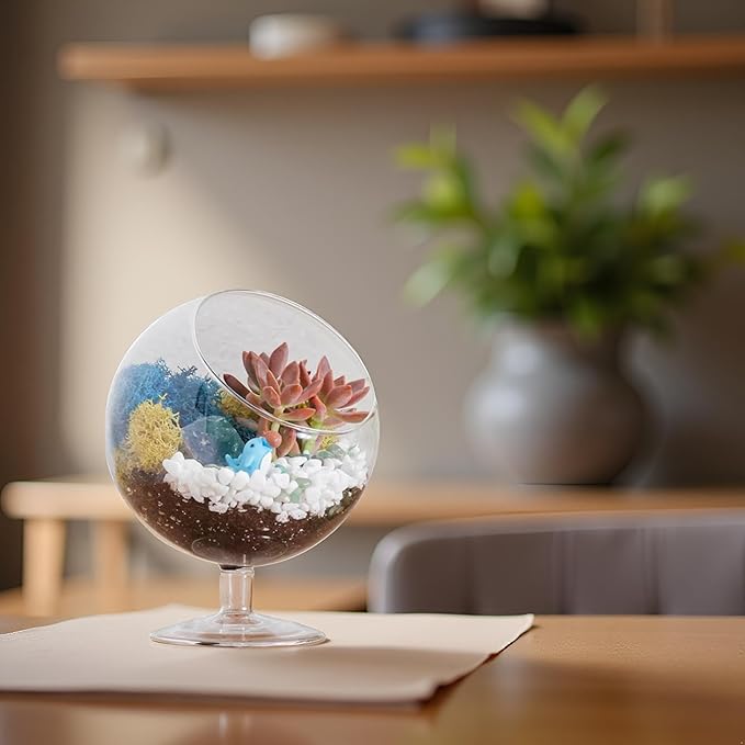 DIY Glass Plant Terrarium Kit for Adults, Metal Stand, Reindeer Moss, Crystals, Rocks, Tools & Figurine – Complete Starter Set