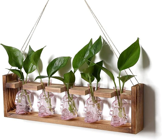 Plant Terrarium Propagation Stations Halloween Skull Planter Vase Skulls Decor with Wooden Stand Gife for Father - 5 Vases