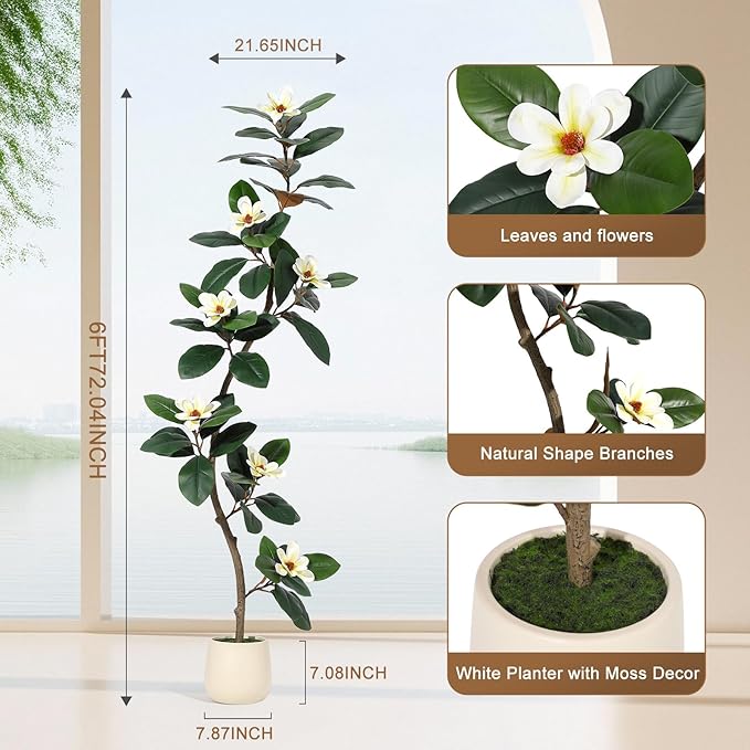 6FT Tall Artificial Rubber Tree with White Planter, Large Fake Magnolia Tree with Flowers & Green Leaves, Big Faux Floor Plant for Indoor Living Room Office Home Decor