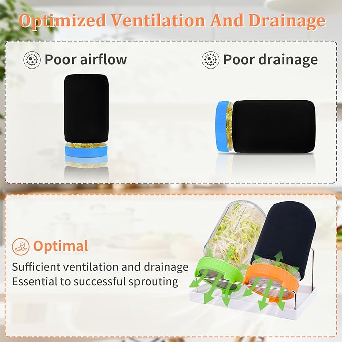 Seed Sprouting Kit with Mung Beans 80g, 2 Large Wide Mouth Mason Jars with Sprout Lids, Blackout Sleeves, Drain Tray, Stainless Steel Stand, Sprouts Growing Kit for Growing Bean Alfalfa Sprout Seeds