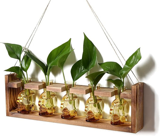 Plant Terrarium Propagation Stations Halloween Skull Planter Vase Skulls Decor with Wooden Stand Gife for Father - 5 Vases