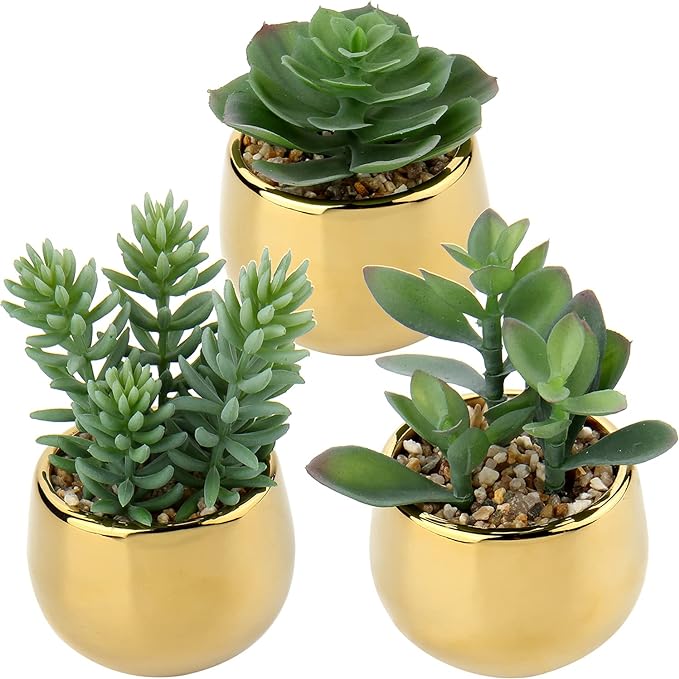 Briful Small Artificial Succulents in Pots Set of 3 Realistic Faux Succulents Plants with Gold Ceramic Pots Cute Mini Fake Plants Decor for Modern Home Table Office Desk Bathroom Shelf Decoration