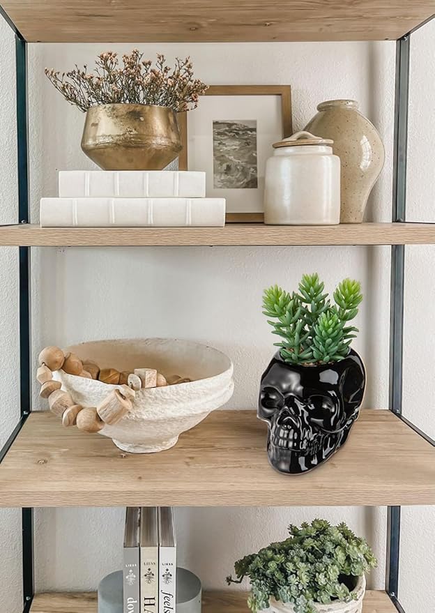 Small Fake Succulents Plants Artificial Succulents in Pots Set of 2 Mini Succulent Plant Realistic Faux Plants Skull Artificial Succulent Plants for Home Office Table Bedroom Bathroom Shelf Decor