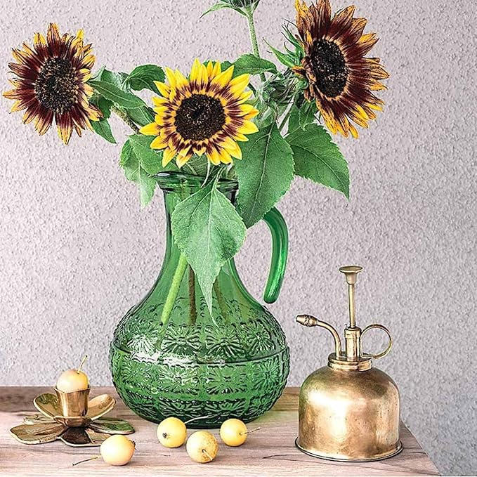 Brass Plant Mister (2 Pack) Indoor Plant Mister, Terrarium Mister, Orchid Spritzer, Succulent, Spray Bottle Mister, Plant Sprayer | A Beautiful and Useful Houseplant Accessory