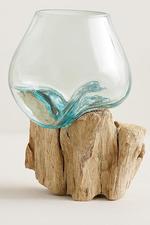 OMA Molten Glass on Driftwood – Hand Blown Vase, Terrarium, or Planter for Coastal & Boho Home Décor Centerpieces (6" - 7" High)