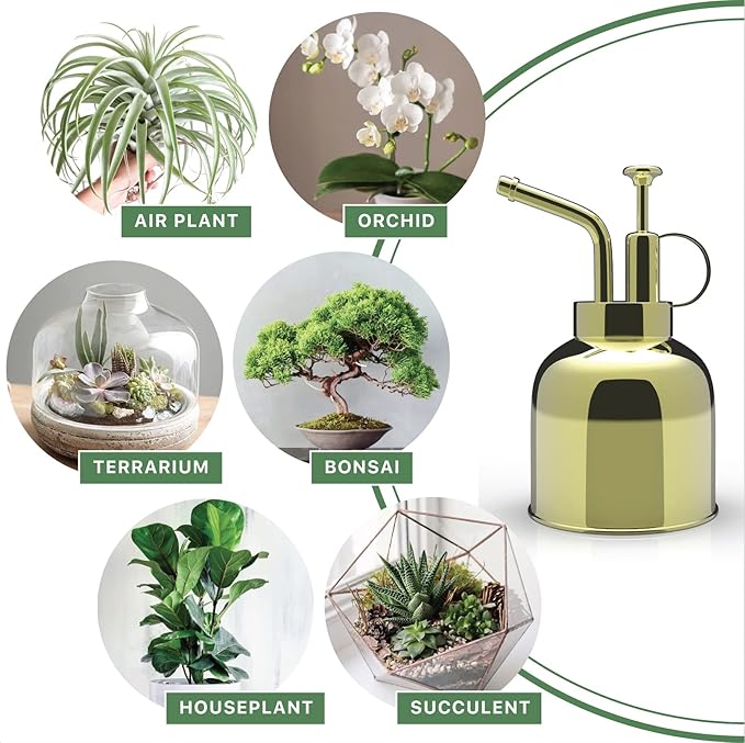 Stainless Steel Plant Mister Spray Bottle Watering Can for Indoor Plants Succulent Bonsai Garden Spray Houseplant Spritzer Modern Garden Tools 10oz/300ml (GOLD)