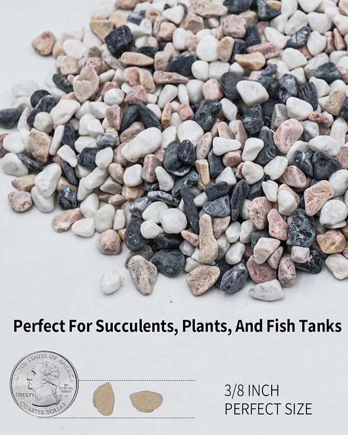 12LB Succulent & Cactus Gravel Pebbles,1/4-3/8 Inch Natural Polished River Rocks Decorative Stones for Succulent Planters,Cactus Pots,Vases,Aquariums,Outdoor Gardening Mixed Colors