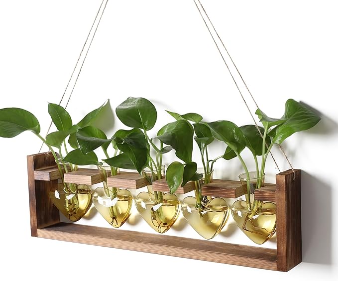 Plant Terrarium Hanging Propagation Stations Gift for Women Plant Lover air Plant Holder with Wooden Stand Heart Glass