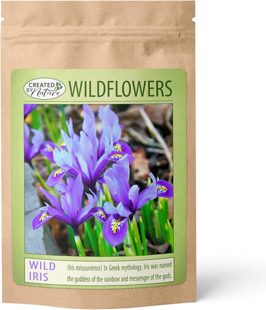 Created By Nature Wild Iris Seeds, 400 Purple Perennial Flower Seeds