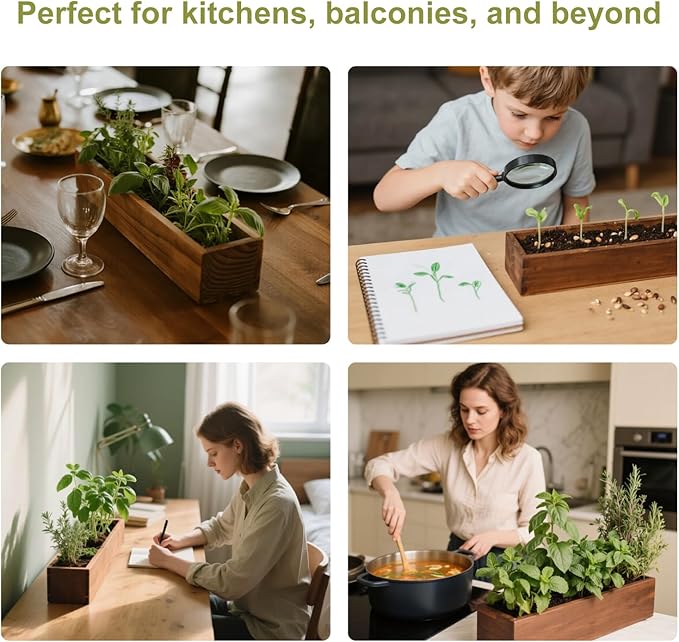 5 Herb Garden Kit with Wooden Box - Including Basil, Thyme, Parsley, Rosemary, Mint, Window Herb Garden for Kitchen, Gardening Gifts for Mom Women, Men, Gift Ideas for Christmas, Housewarming
