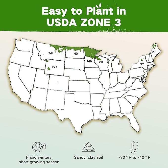 Lush&Dew USDA Zone 3 Seed Bank, Gardening Gifts for Women Men, 32 Varieties Non-GMO Heirloom Seeds for Planting Vegetables Fruits, Year Round Survival Seed Kit for Raised Garden Bed Greenhouse