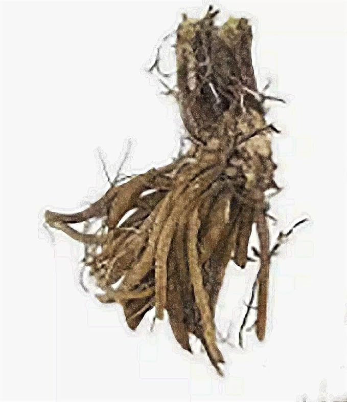 Rose Red Ruffles Daylily - Bare Root Plant, Hardy Perennial with Ruffled Red Blooms, Low Maintenance, Ideal for Full Sun or Partial Shade, Perfect for Garden Borders & Landscapes