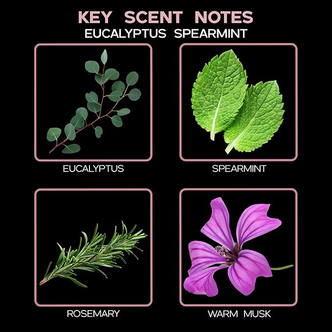 LOVSPA Reed Diffuser Set, Unwind Eucalyptus & Mint Scented Oil Diffuser with Sticks, Home Fragrance Accessories for Bathroom Shelf Decor, Aroma Diffusers for Home or Office Desk, USA Made