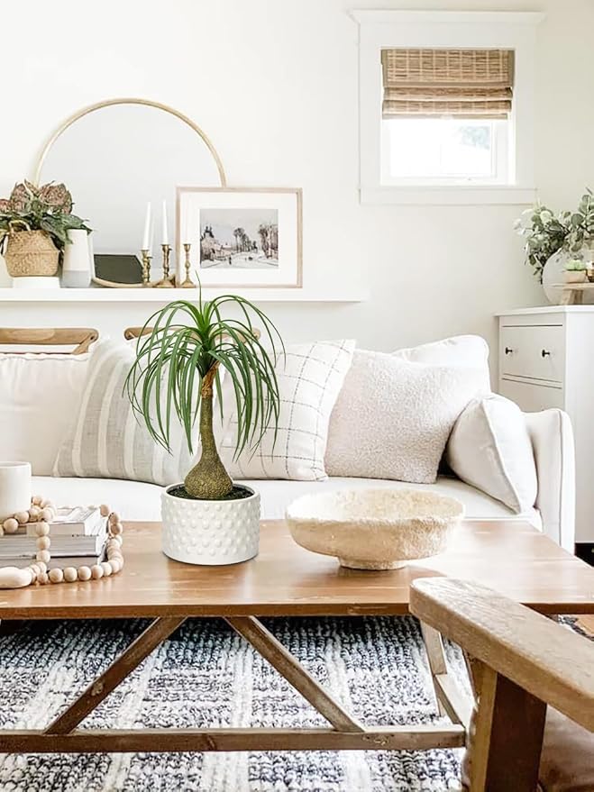 Hollyone Fake Plants Artificial Potted Plants Artificial Ponytail Palm Plant in Pots Faux Bonsai Plants for Office Table Desk Shelf Bathroom Bedroom Greenery Decoration Room Indoor Home Decor