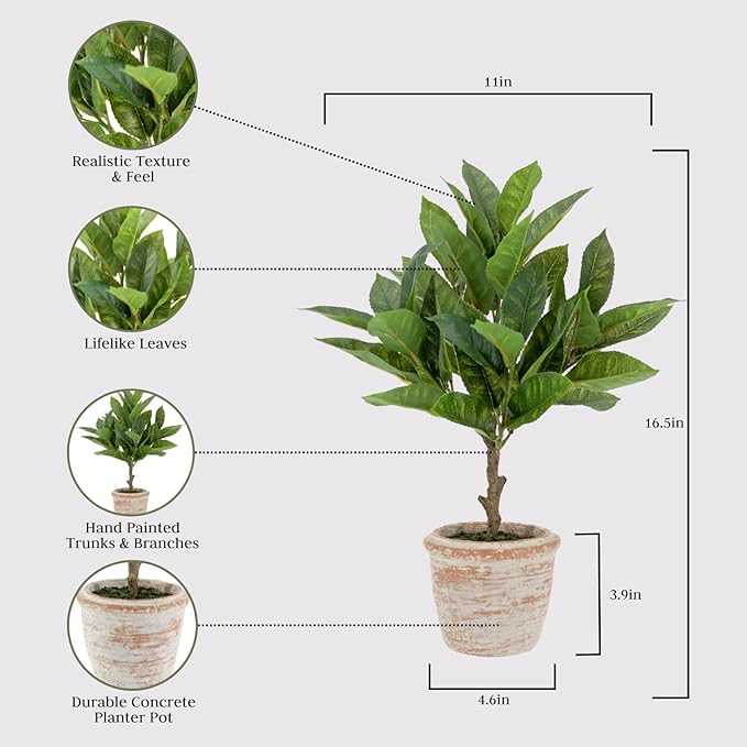 Faux Eucalyptus & Citrus Topiary, Set-of-2 Premium Artificial Indoor Plants, Enhances Interior Design, Lifelike-Leaves Create Realistic Natural Appearance, Grey Planter Pot Included