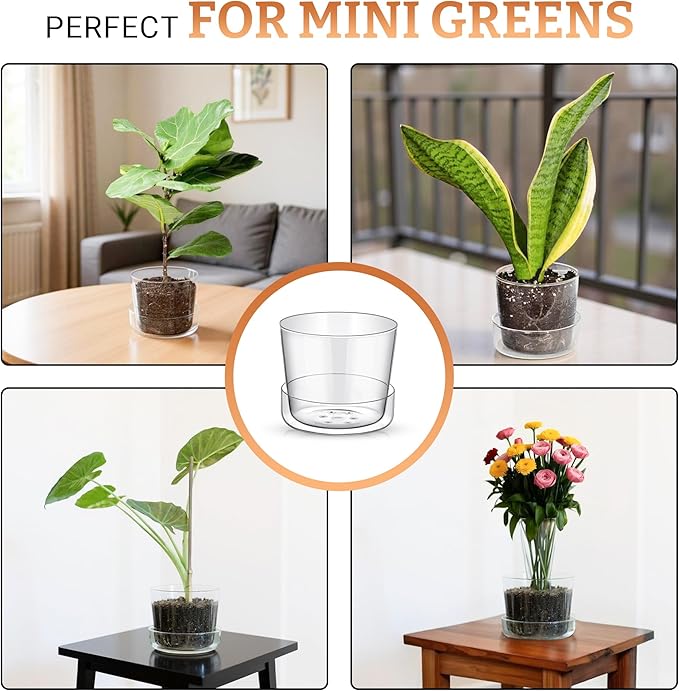 Sheer Glass Pot Planter with Drainage Holes & Tray - Decorative & Modern for All House Plants (4 Inches)