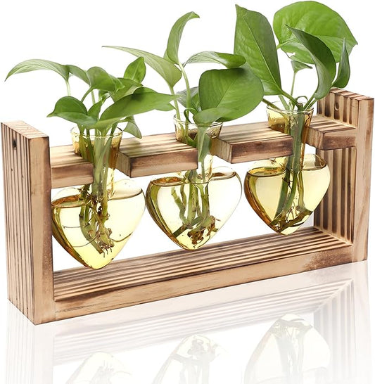 Plant Terrarium Propagation Stations Hydroponics Home Garden Decoration Gift for Women with Wooden Stand Heart Shaped Colored Glass Vase
