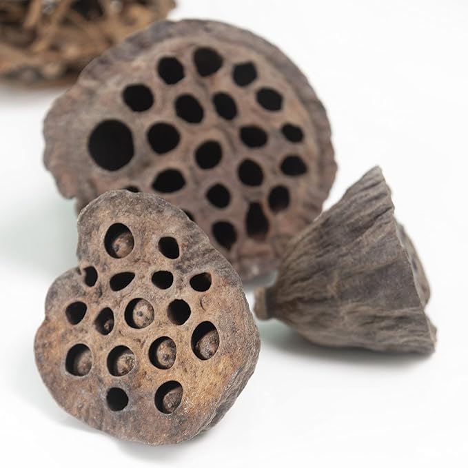 Natural Tones Vase & Bowl Fillers | Floral & Decorative Balls Home Decor (Grey Rose)