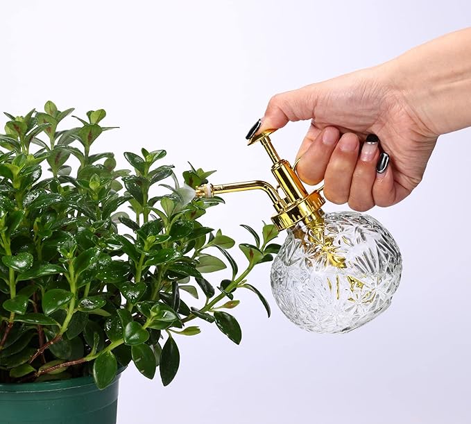 Glass Plant Mister Spray Bottle, 6.5" Clear Glass Water Spray Bottle with Gold Top Pump Small Watering Can, Small Plant Sprayer Mister for Indoor Outdoor House(Clear+Gold E)