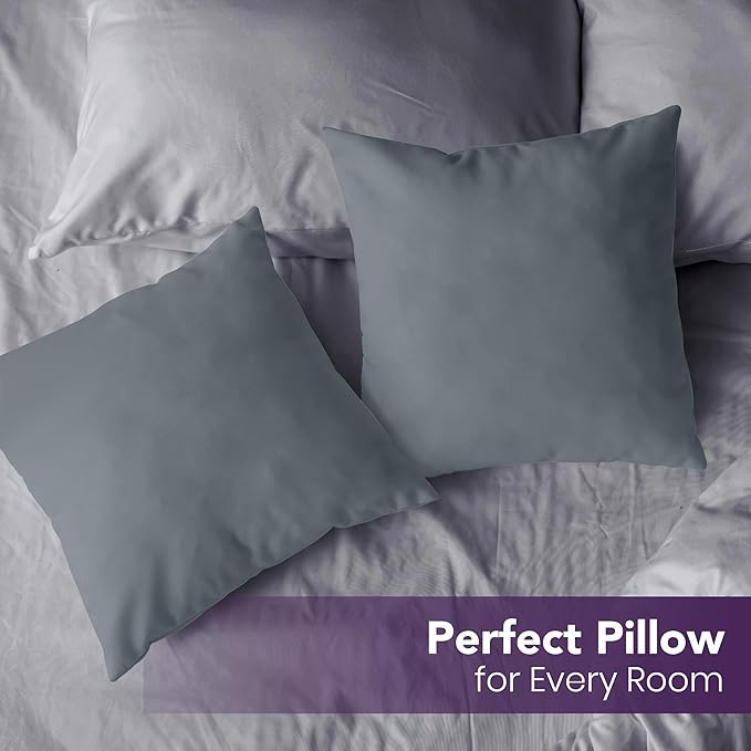 Utopia Bedding Throw Pillows Insert (Pack of 2, Grey) - 22 x 22 Inches Bed and Couch Pillows - Indoor Decorative Pillow