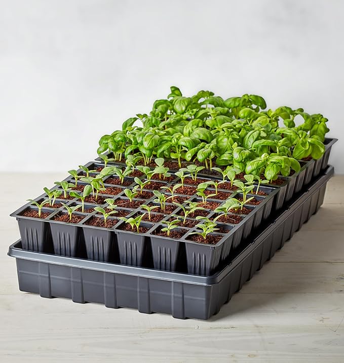 Burpee Self-Watering Seed Starter Tray, 72 Cells