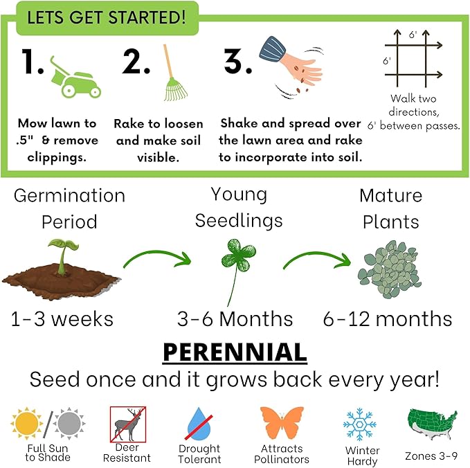 Flawn Seed Kits 5 Lbs Micro Clover Seed, Organic Coated, Eco-Friendly, Low Growing, Low Maintenance, Lawn Alternative, Kraft Zipper Pouch, Covers up to 18,000 Sqft