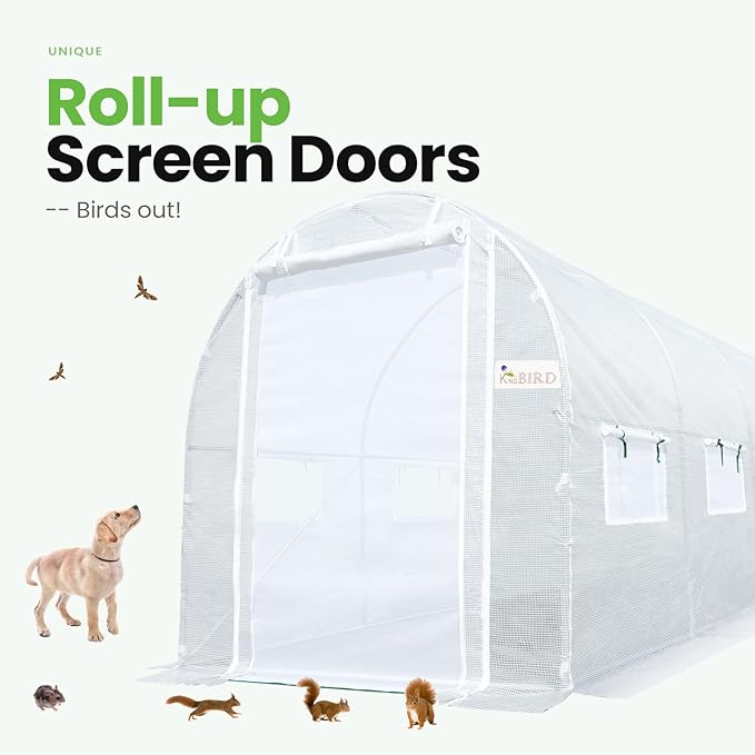 KING BIRD Premium 10x6.6x6.6FT Greenhouse for Outdoors, Large Walk-in Heavy Duty Galvanized Steel Frame, Mesh Door Screen Window Upgraded Zipper Tunnel Hoop for Garden Plant Winter, White