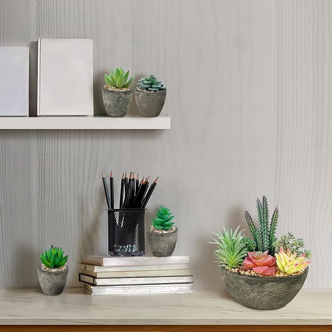 Succulents Plants Artificial Set of 5, Realistic Fake Succulents with Cement Like Pots for Home Office Decoration.