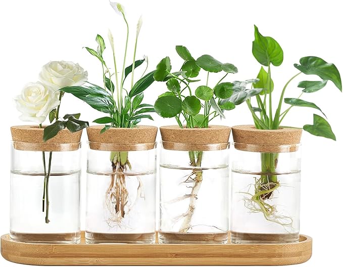 Dahey Plant Propagation Terrarium Desktop Glass Planter Station Water Planting Glass Vase with Lid and Wooden Stand for Propagating Hydroponic Plants Centerpiece Office Home Garden Decor, 4 Pcs