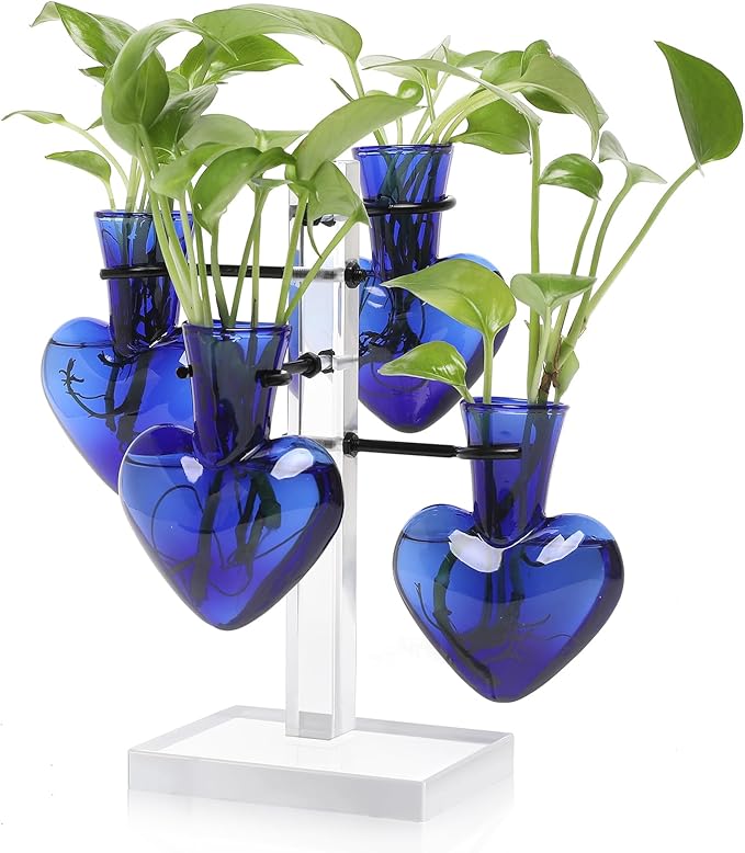 Plants Propagation Stations Plant Terrarium Kit Gift for Women Birthday Glass Planters for Indoor Plants Home Office Decor Acrylic Plant Accessories - 4 Love Hear Vase