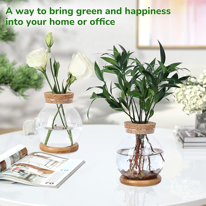 Propagation Station, Larger Capacity Ball Vase with Base for Hydroponic Plants, Home/Office Decor & Gift for Plant Lovers, 2pcs Glass Terrariums