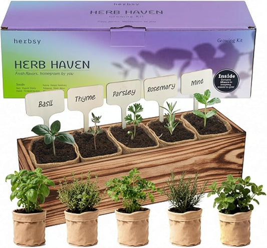 5 Herb Garden Kit with Wooden Box - Including Basil, Thyme, Parsley, Rosemary, Mint, Window Herb Garden for Kitchen, Gardening Gifts for Mom Women, Men, Gift Ideas for Christmas, Housewarming
