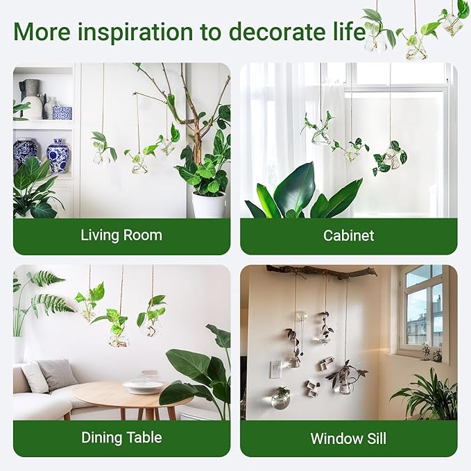 Propagation Station, Plants Terrarium, Plants Lover Gifts for Women,Plant Cutting Holder Home décor,Gifts for Women,House Warming New Home-3 Geometric Shape