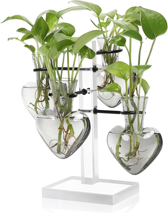 Plants Propagation Stations Plant Terrarium Kit Gift for Women Birthday Glass Planters for Indoor Plants Home Office Decor Acrylic Plant Accessories - 4 Love Hear Vase