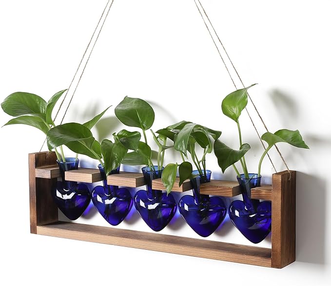 Plant Terrarium Hanging Propagation Stations Gift for Women Plant Lover air Plant Holder with Wooden Stand Heart Glass