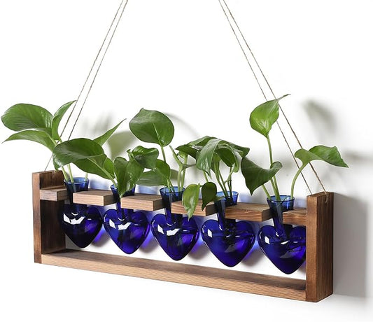 Plant Terrarium Hanging Propagation Stations Gift for Women Plant Lover air Plant Holder with Wooden Stand Heart Glass
