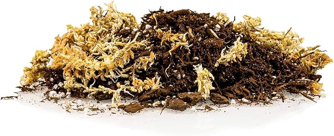 Premium Orchid Mix by GARDENERA | Fern + New Zealand Pine Bark + Sphagnum Moss + Perlite | Best for Growing and Repotting Orchids - 2 Quart Bag