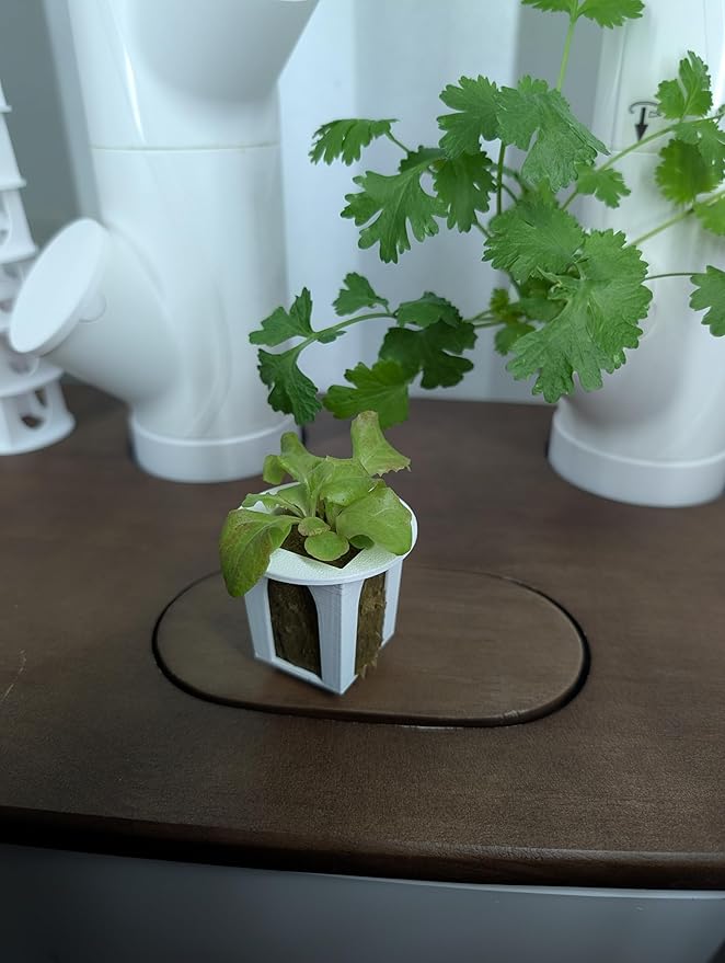 Grow Cubes for Hydroponic System/Grow Cubes Compatible with Gardyn (Seed Starter Nursery)