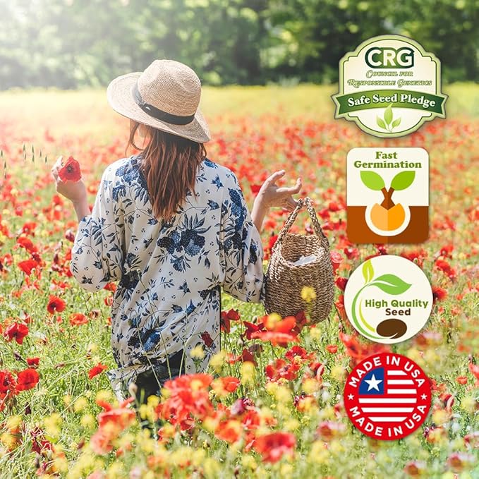 Parade of Poppy Wildflower Seeds - 1oz, Open-Pollinated Flower Seed Mix Packets, No Fillers, Annual, Perennial Wildflower Seeds, Year Round Planting - 1 oz